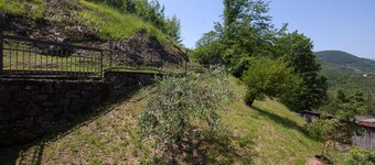 Hotel Nella