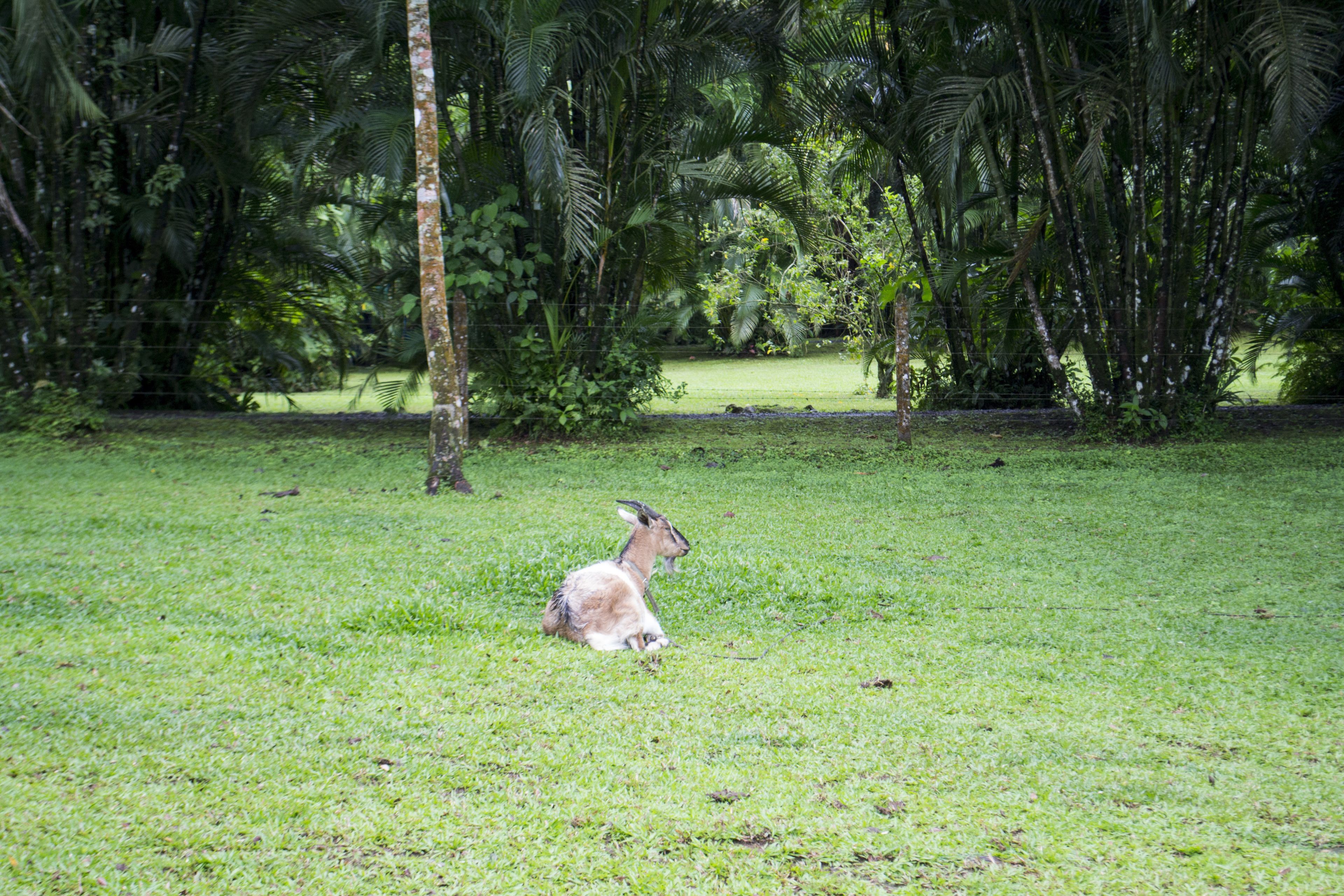 Photo - Lands in Love Hotel and Resort