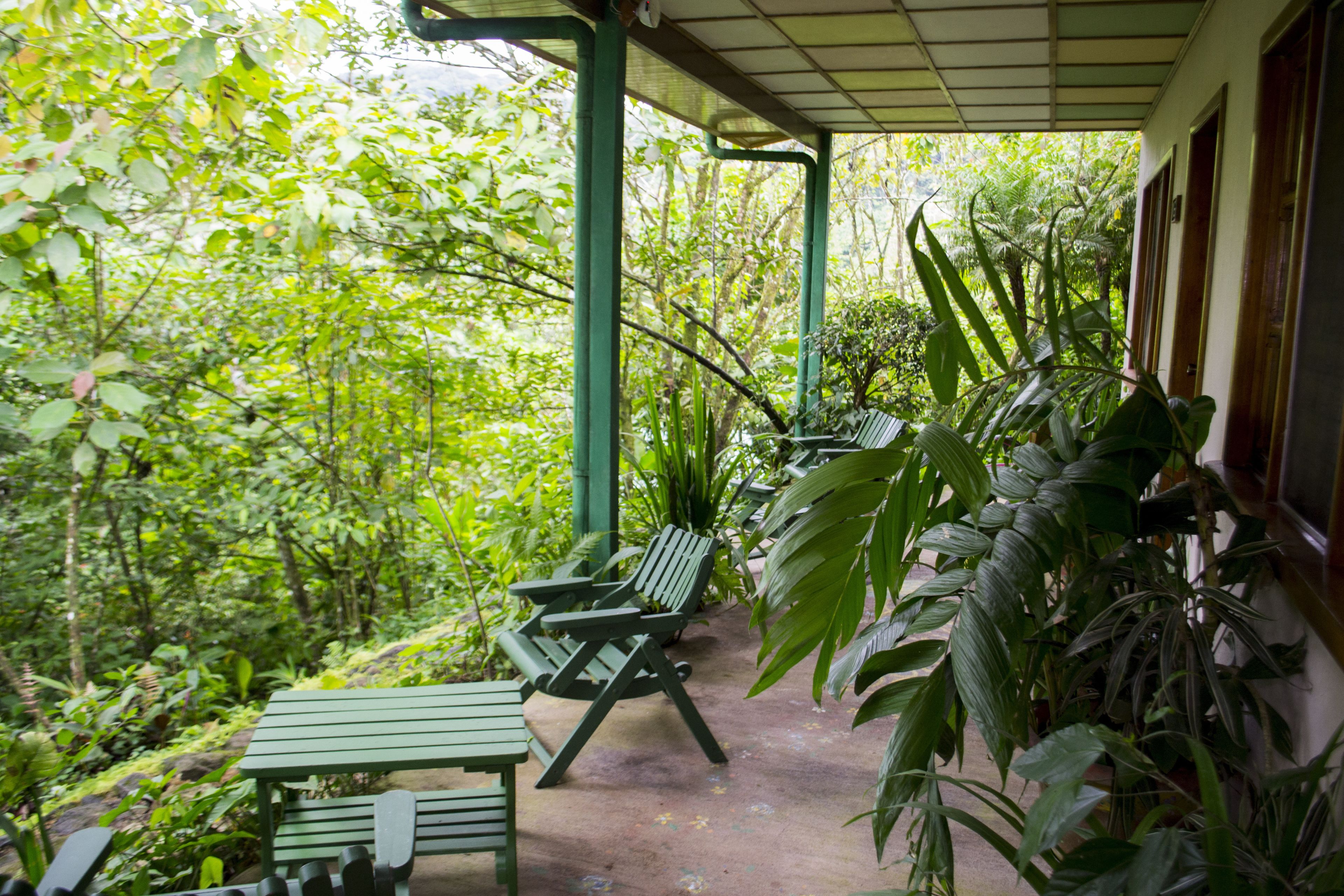 Habitación doble | Vista desde la habitación