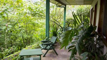 Habitación doble | Vista desde la habitación