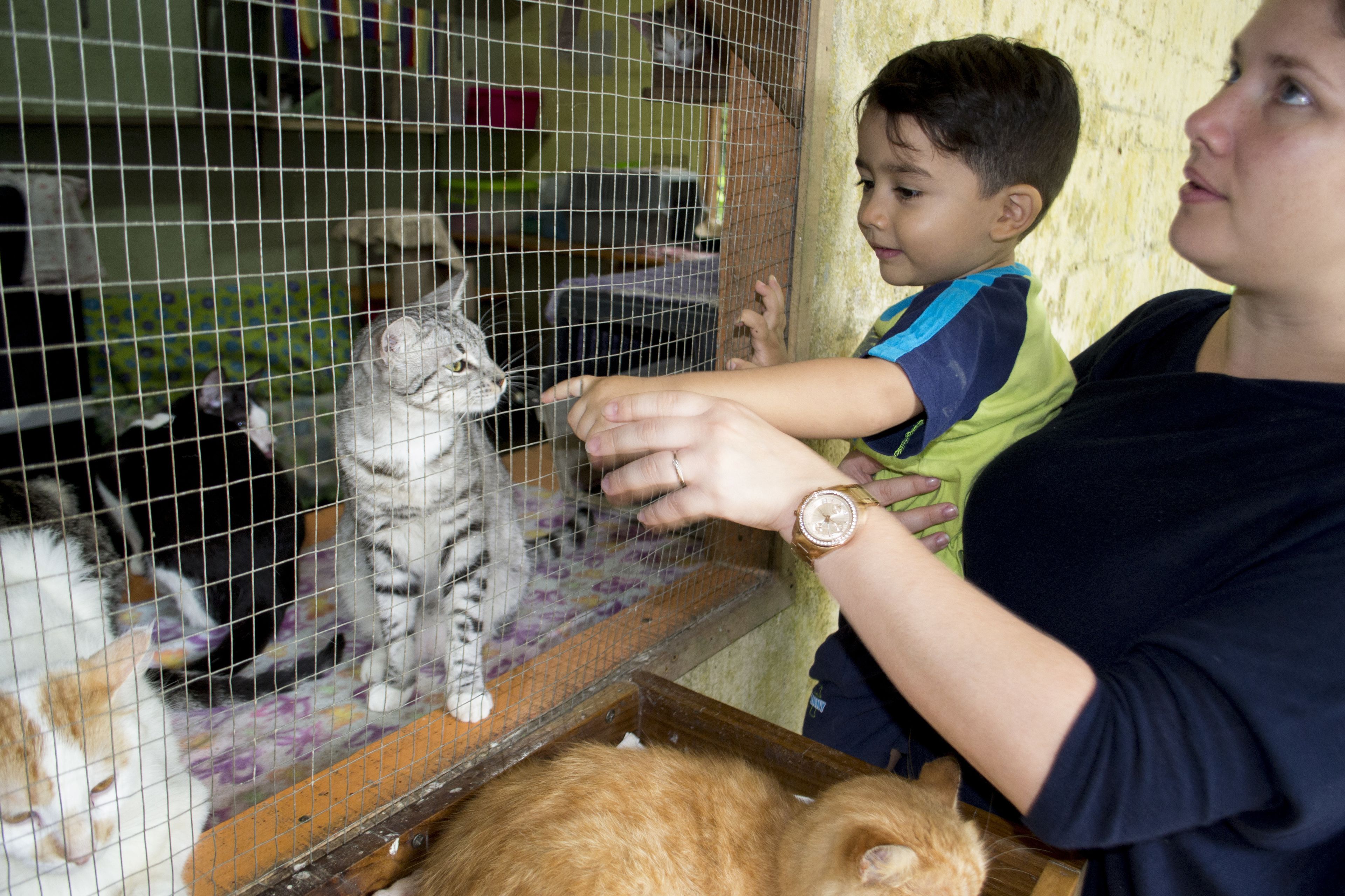 Photo - Lands in Love Hotel and Resort