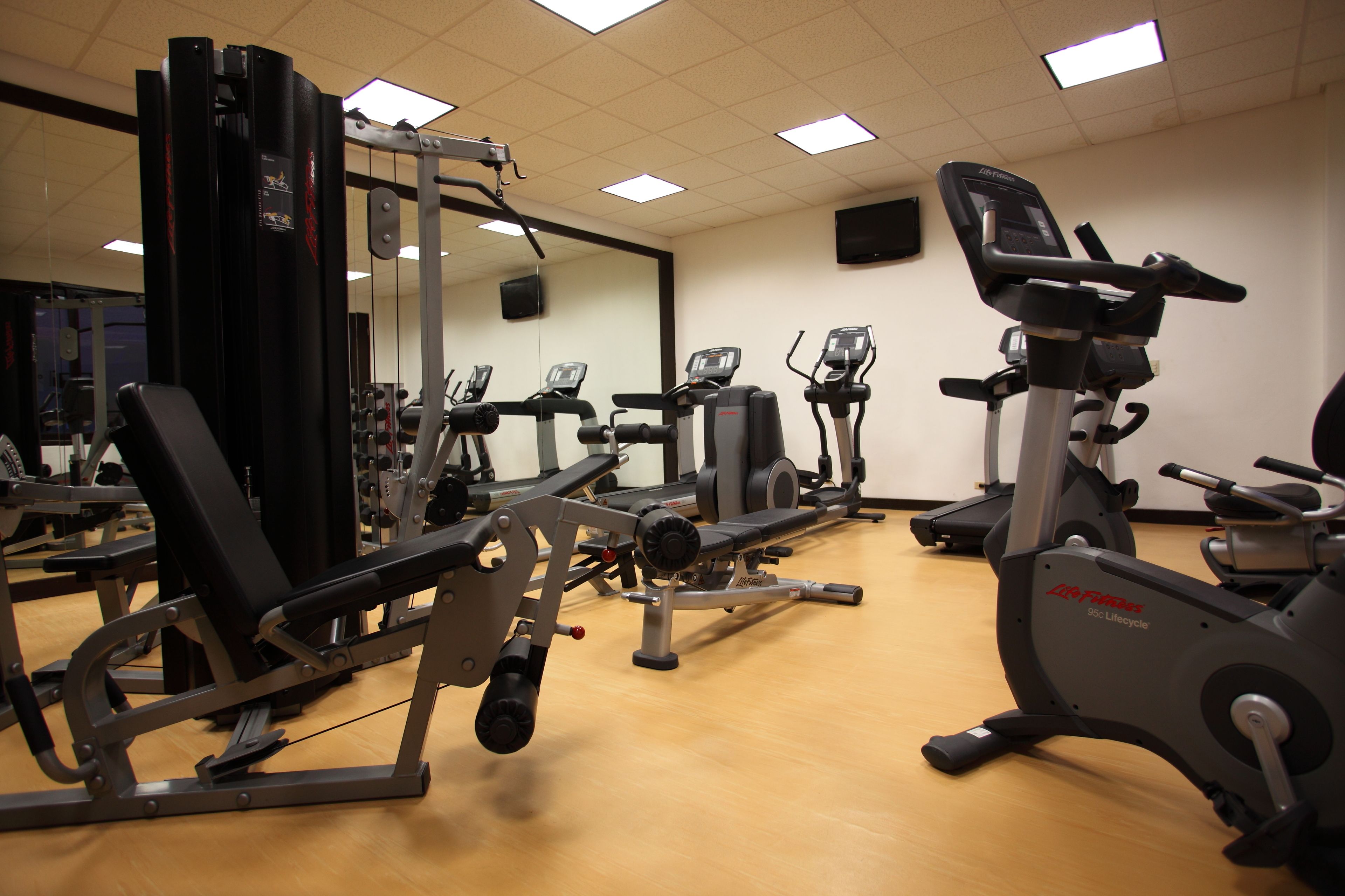 Une salle de sport équipée de divers appareils d’exercice, notamment des tapis de course et des appareils de musculation.