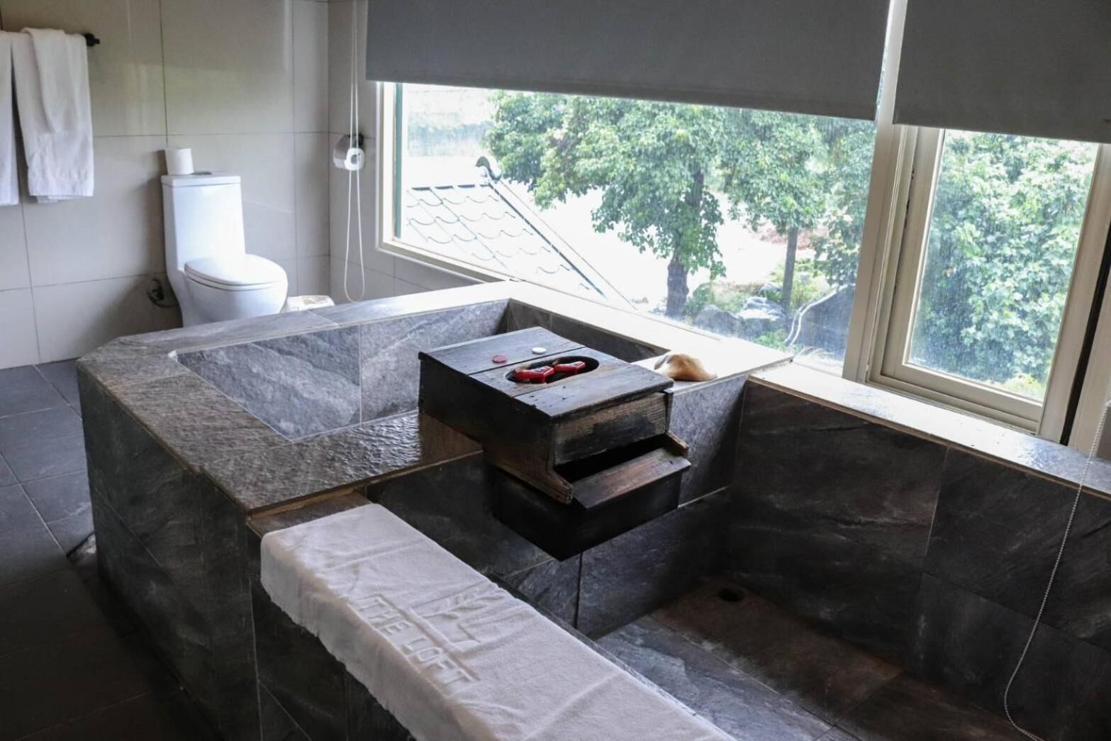 A bathroom with a stone sink, a toilet, and a window with a view of trees.