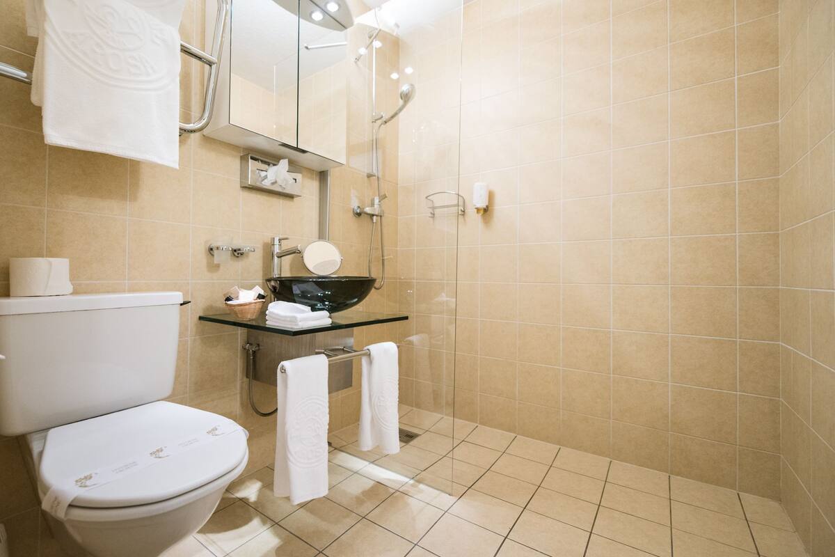 Standard Double Room | Bathroom amenities | Hair dryer