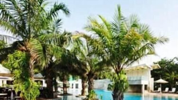 A swimming pool with clear blue water, surrounded by palm trees and lounge chairs. - Palm Meadows Resort (Bengaluru)