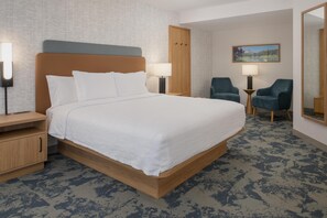Suite estudio, 1 cama King size, para no fumadores | Tabla de planchar con plancha, wifi gratis, ropa de cama y despertador 