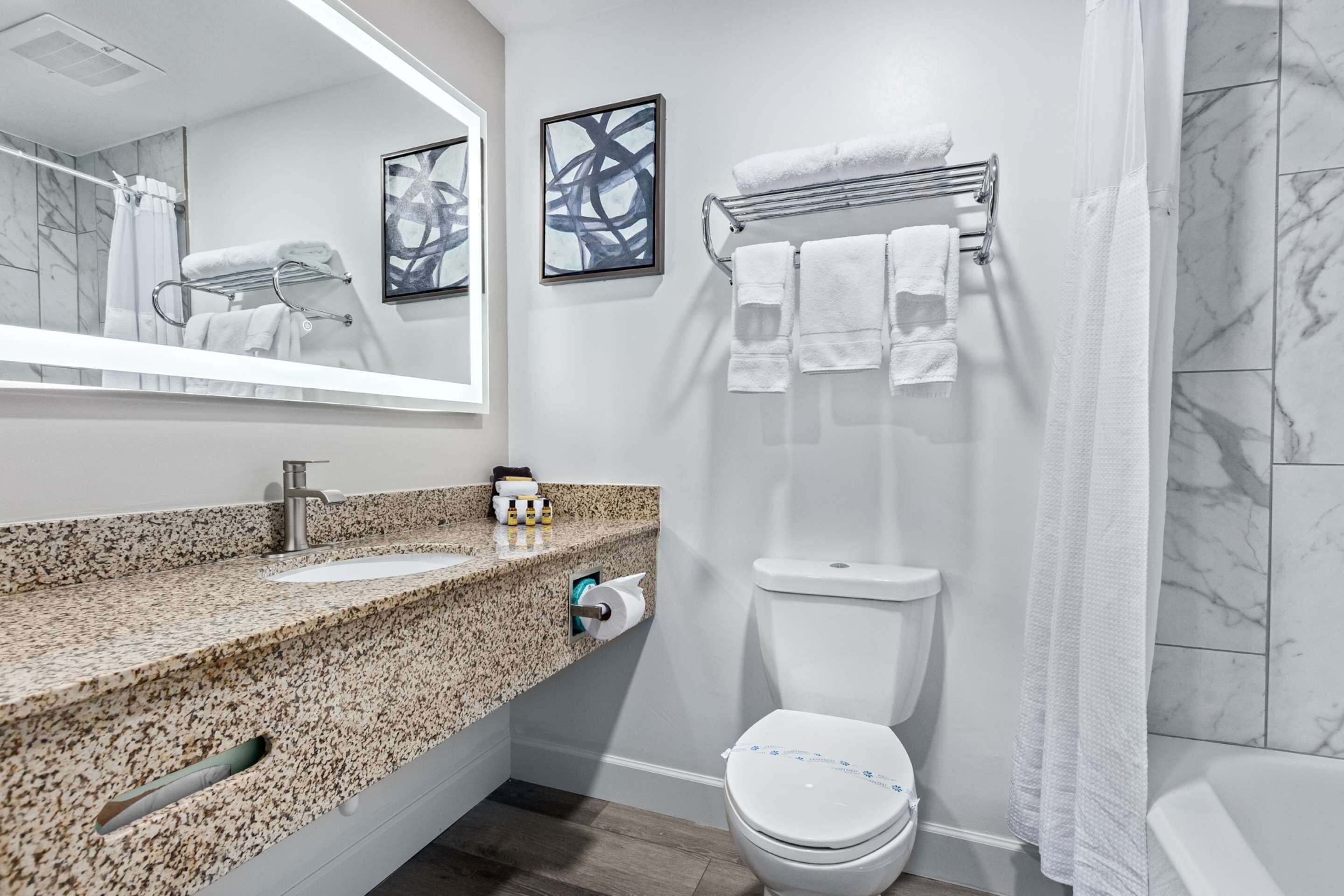 Een moderne badkamer met een granieten aanrechtblad, een toilet, een handdoekhouder en een douchegordijn.