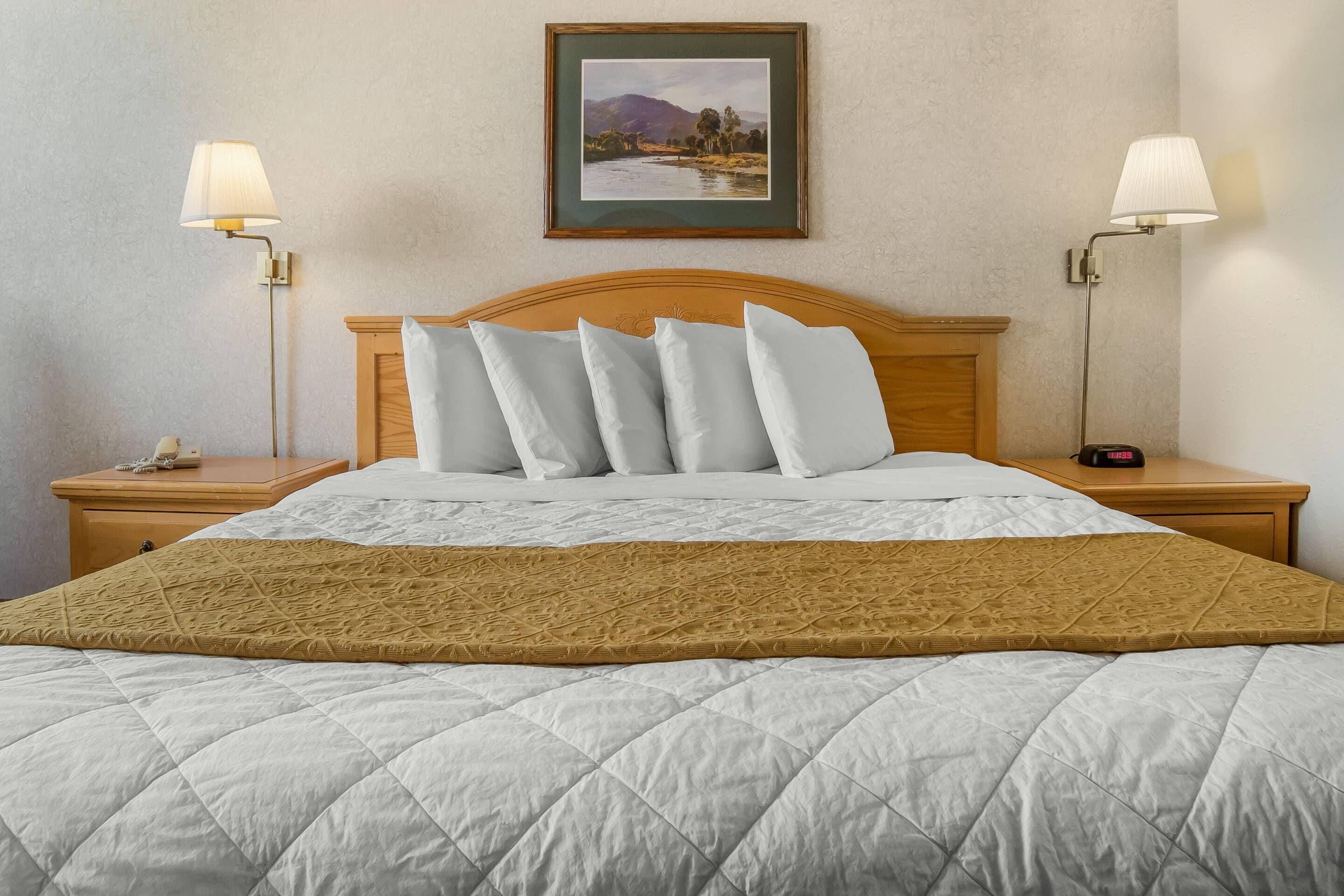 Standaard kamer, 1 kingsize bed, niet-roken | Een bureau, een laptopwerkplek, verduisterende gordijnen