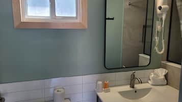 Un baño con inodoro, lavamanos, espejo y secador de pelo.