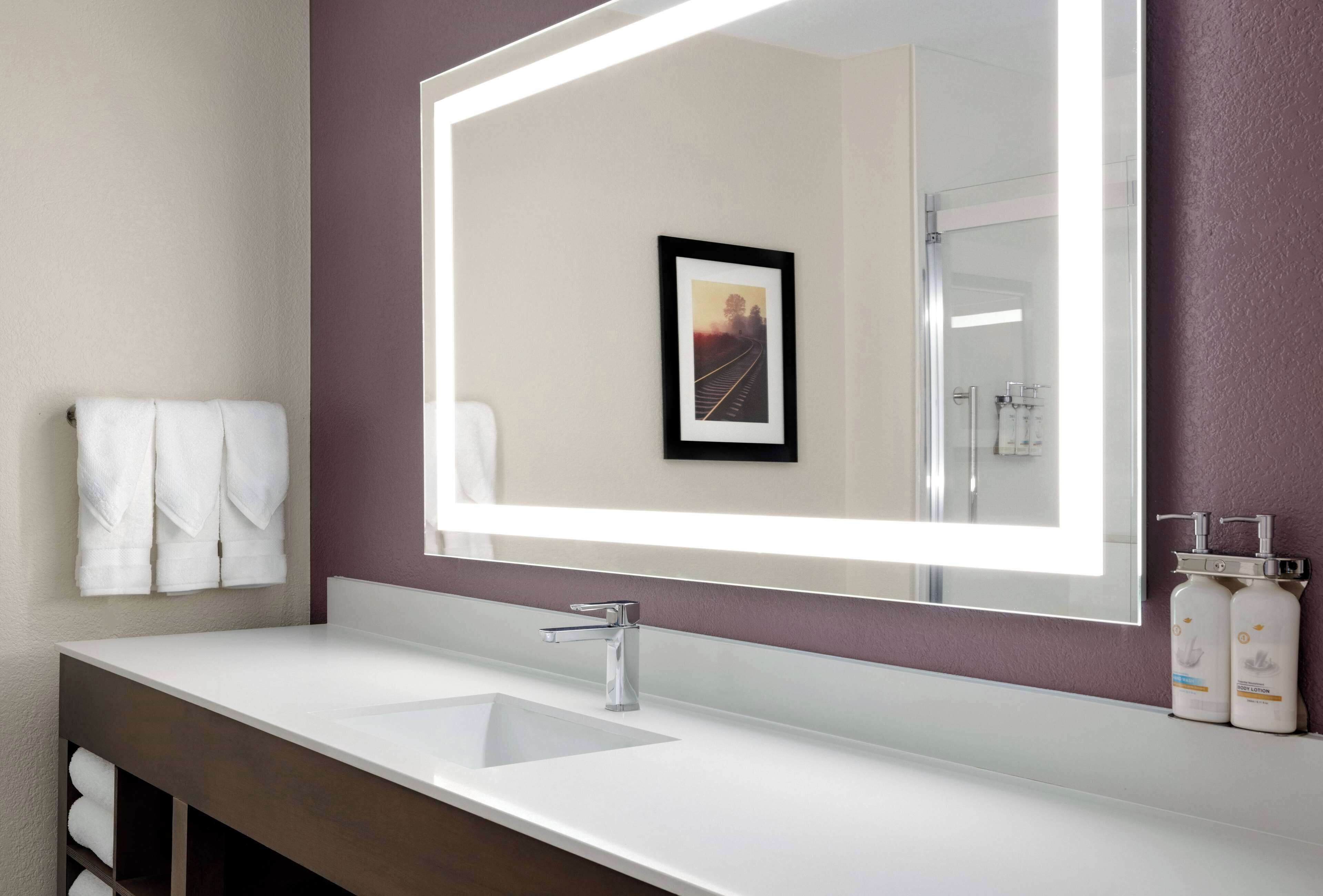 deluxe suite, 1 king bed, non smoking | 1 bedroom, premium bedding, pillow-top beds, in-room safe