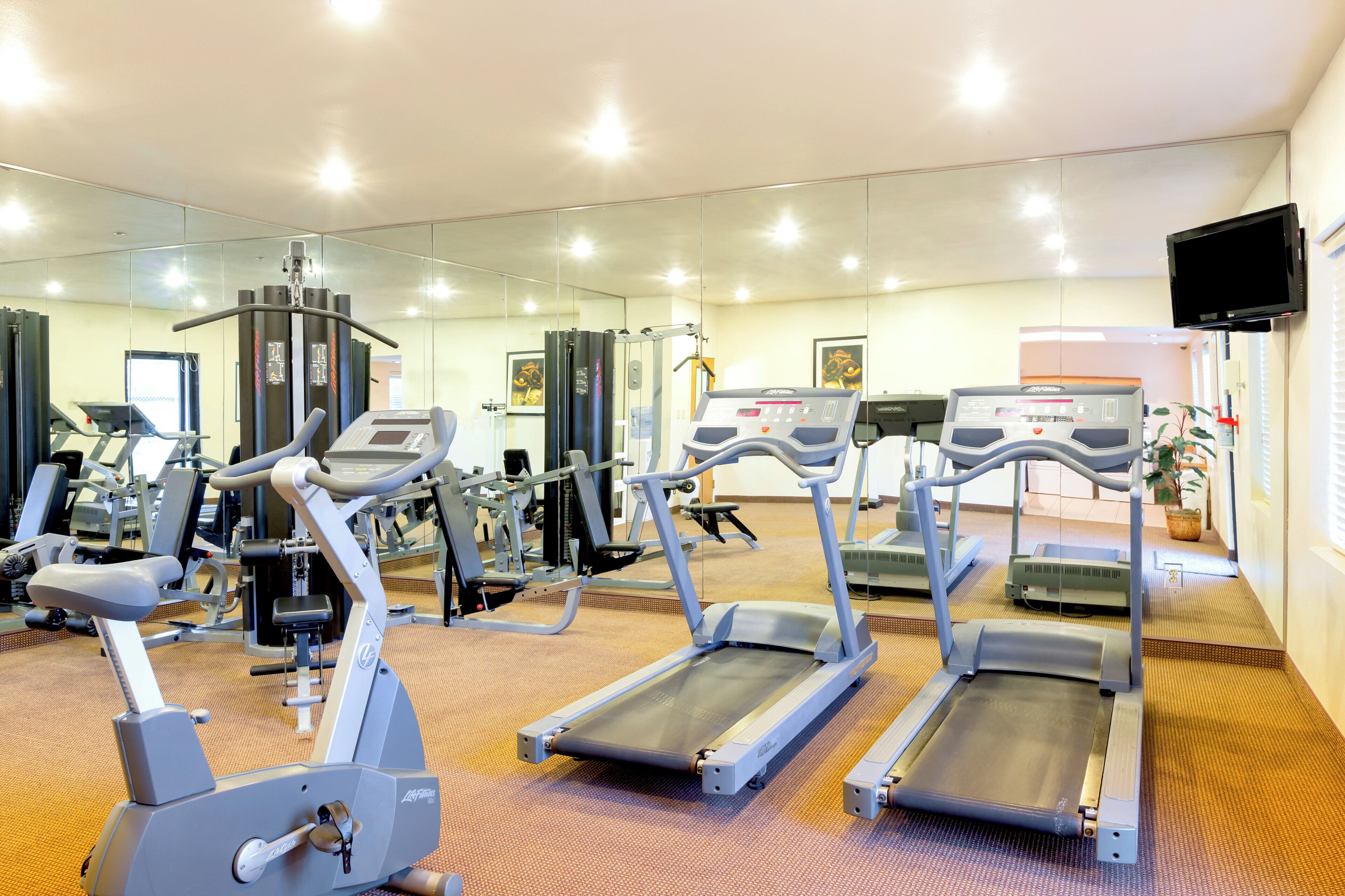 Fitnessbereich