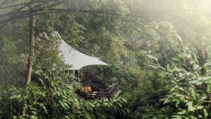 Uma casa na árvore com um deck de madeira, rodeada por folhagem densa.