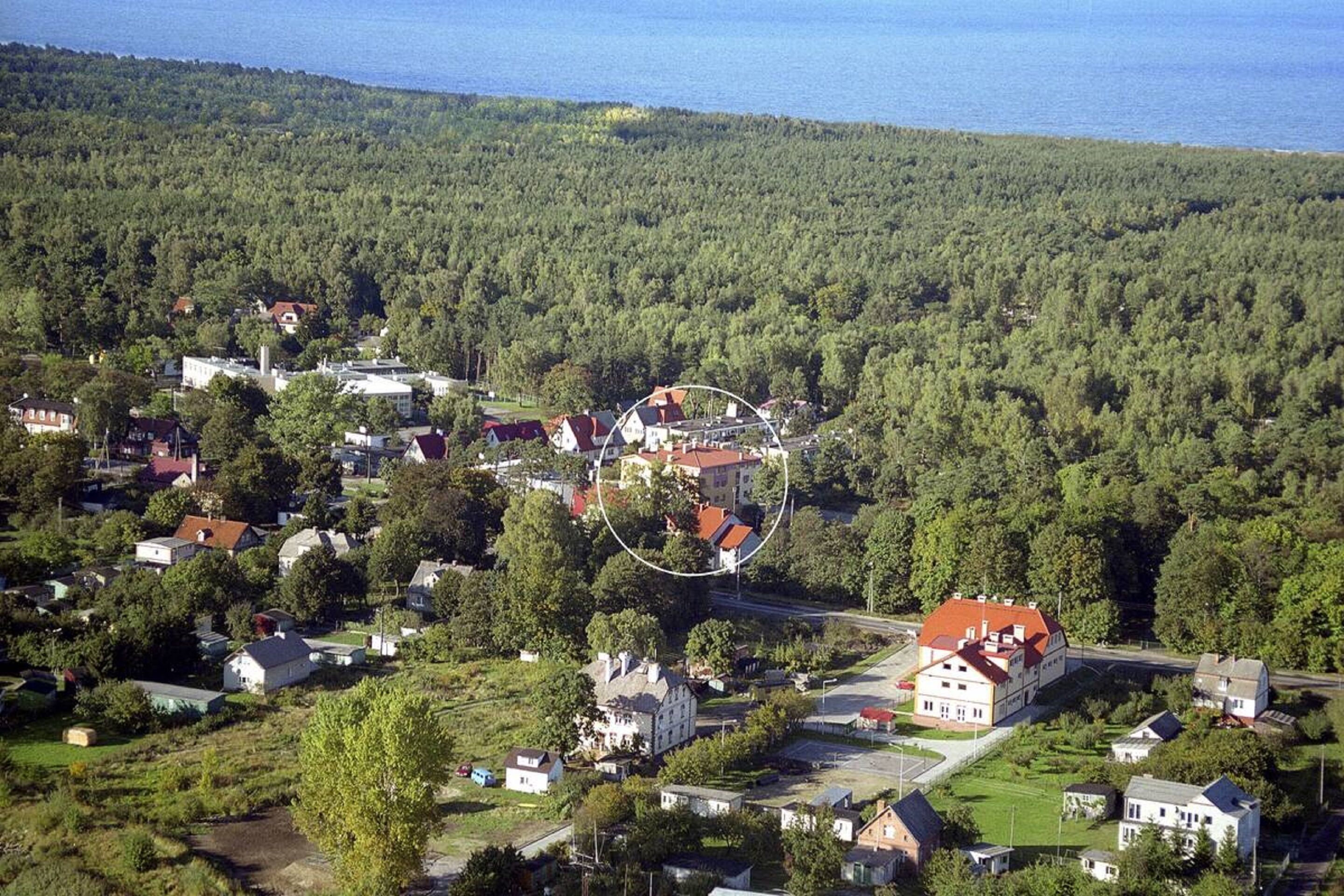 An aerial view of a small town with houses, a prominent building with a red roof, and a dense forest in the background.