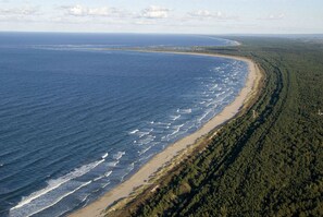 Enjoy a serene beachside escape with a dense forest nearby.