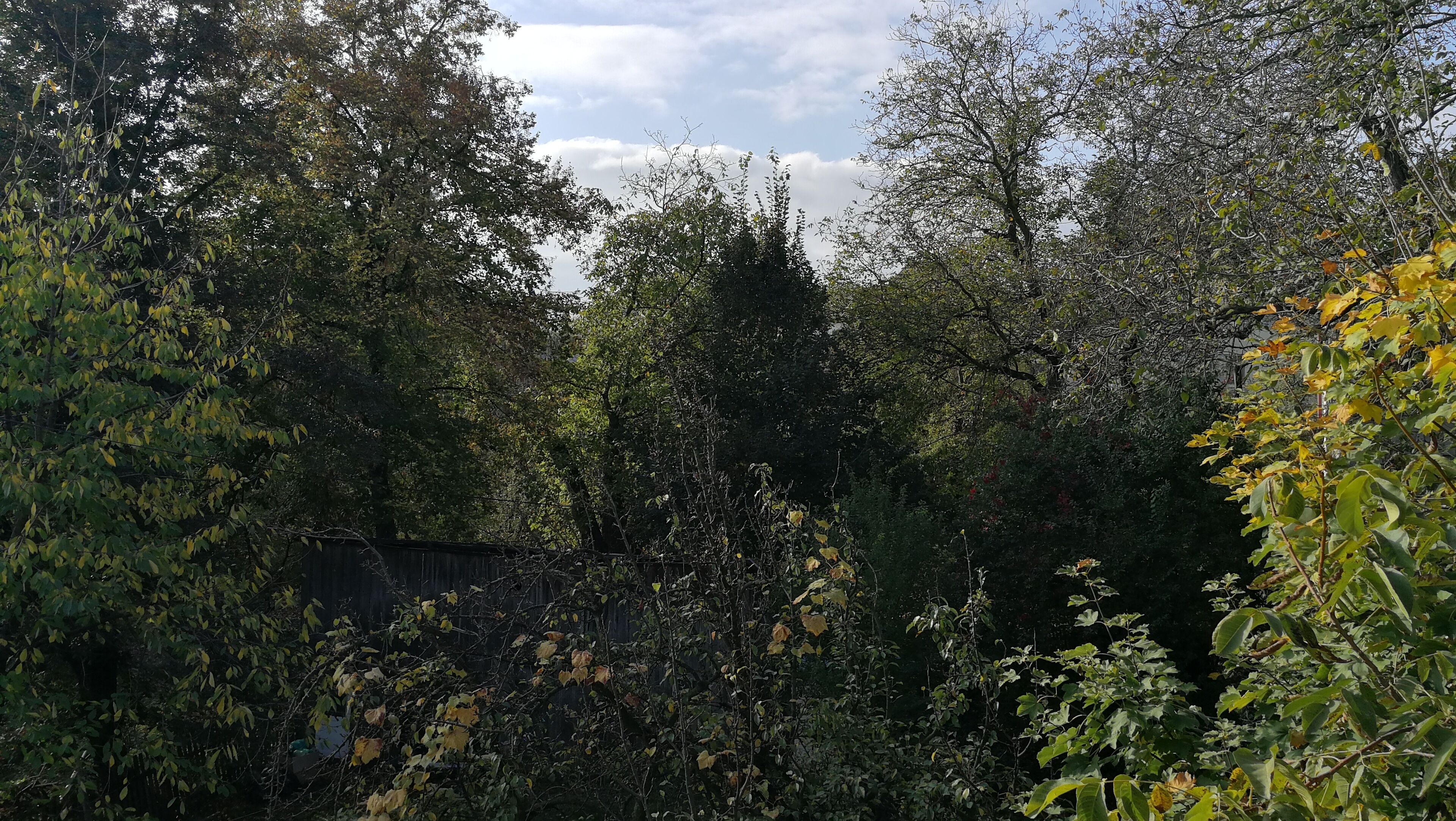 standard double room | 1 bedroom, in-room safe, desk, iron/ironing board