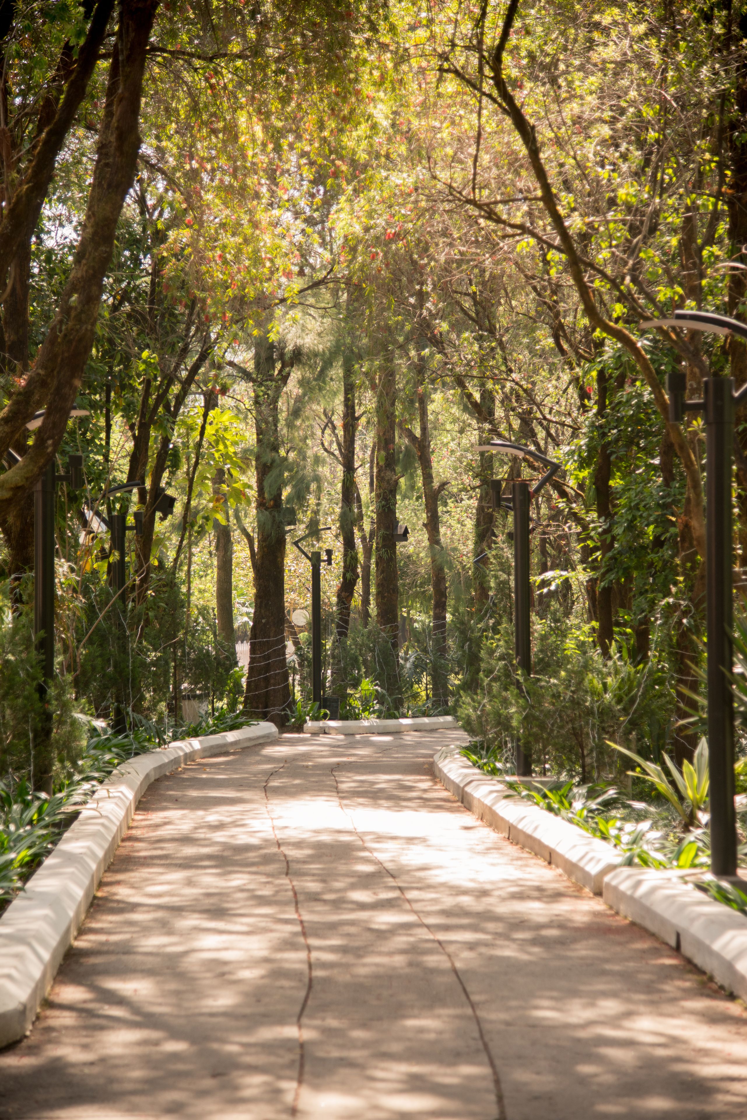 Foto - Park Village Resort by KGH Group