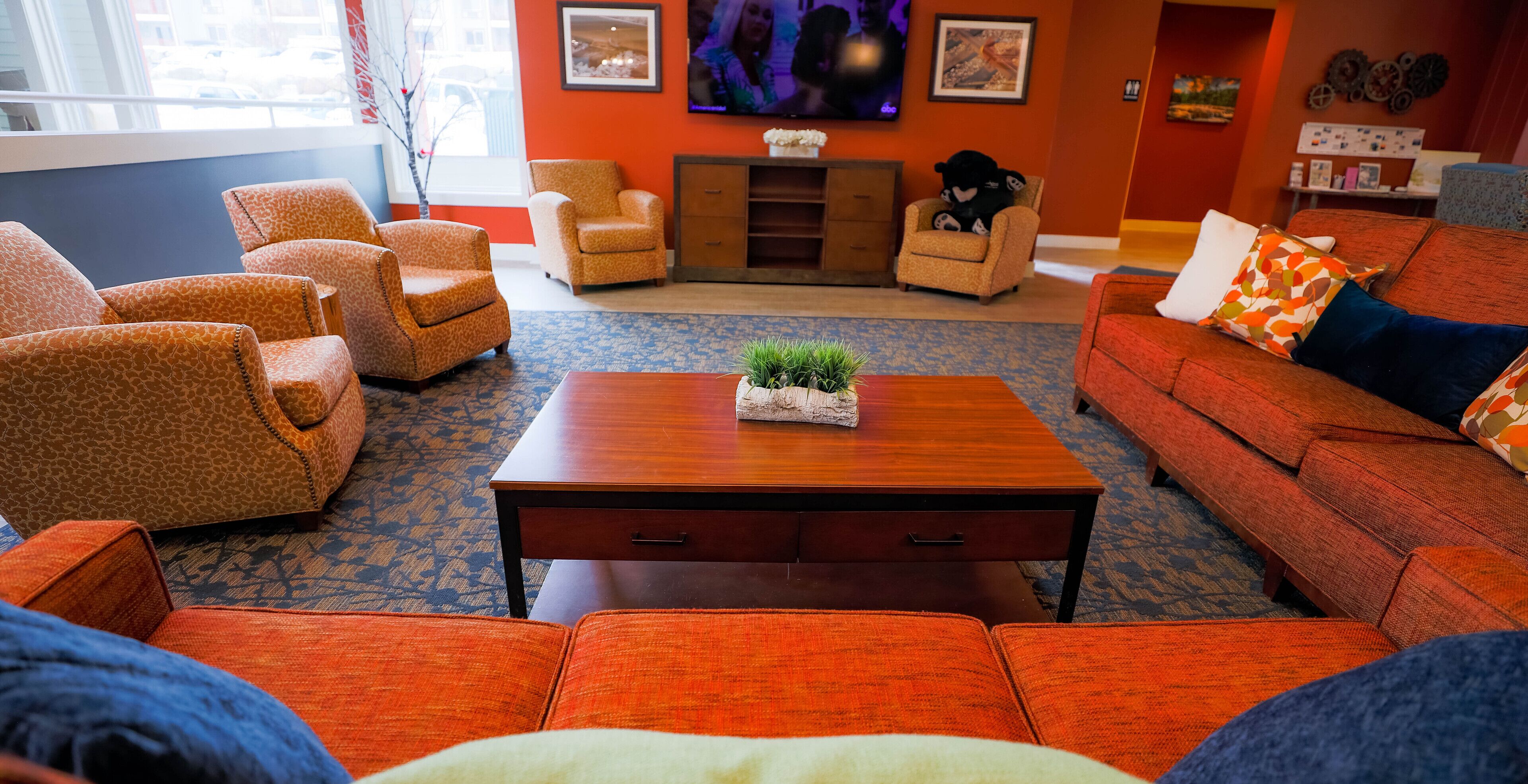 A living room with orange and blue patterned furniture, a wooden coffee table with a plant, and a TV on the wall.