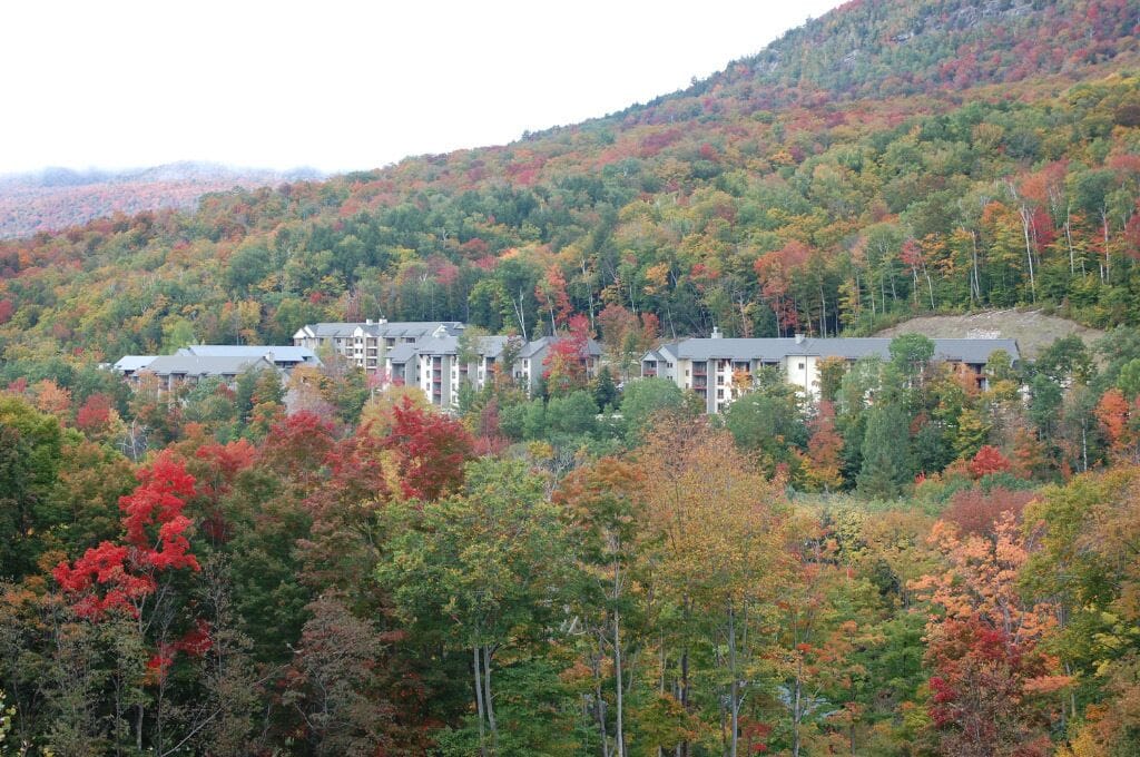 A residential area with multi-story buildings surrounded by dense autumn foliage.
