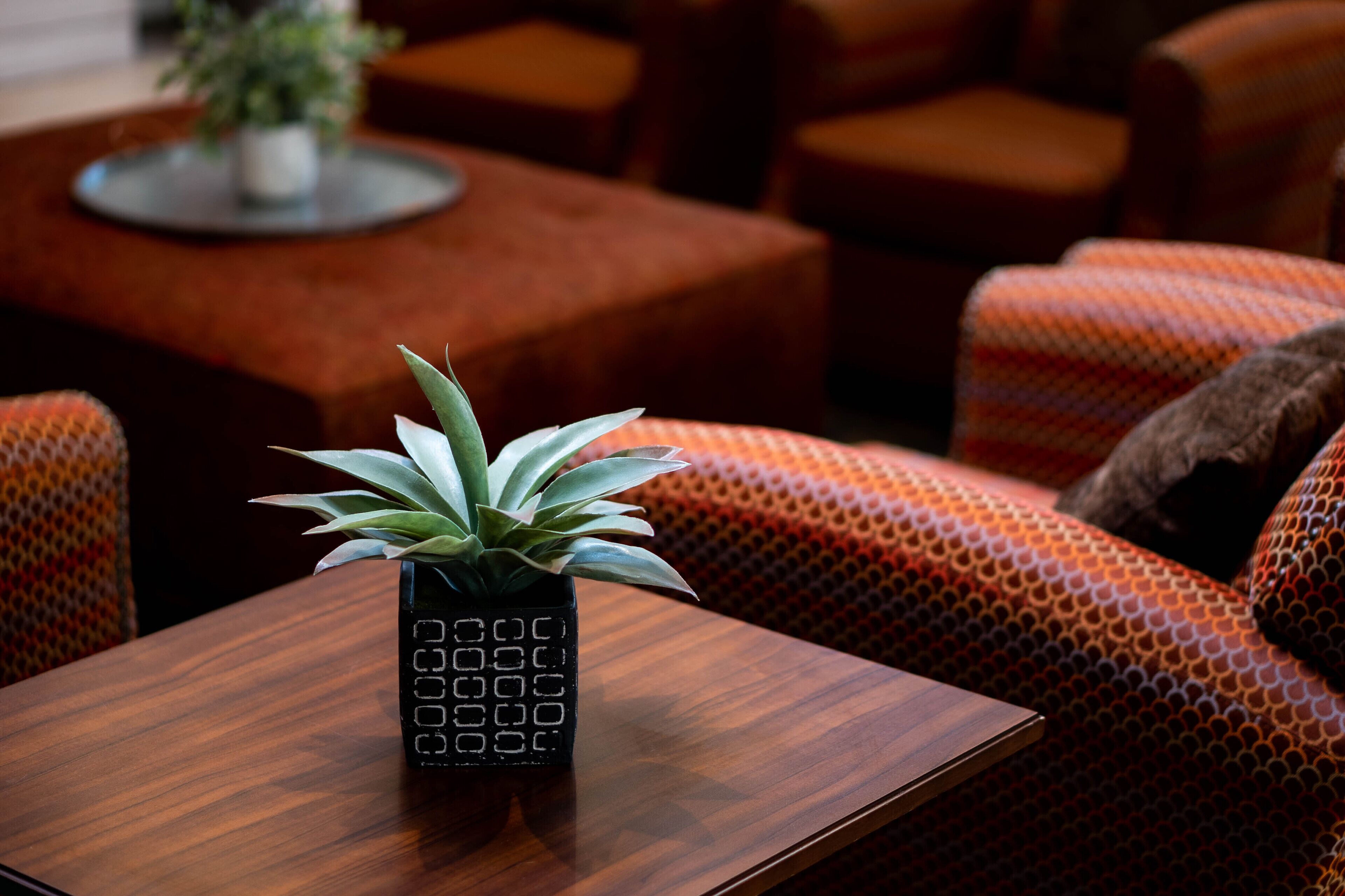 A cozy seating area with patterned orange sofas and a wooden coffee table.