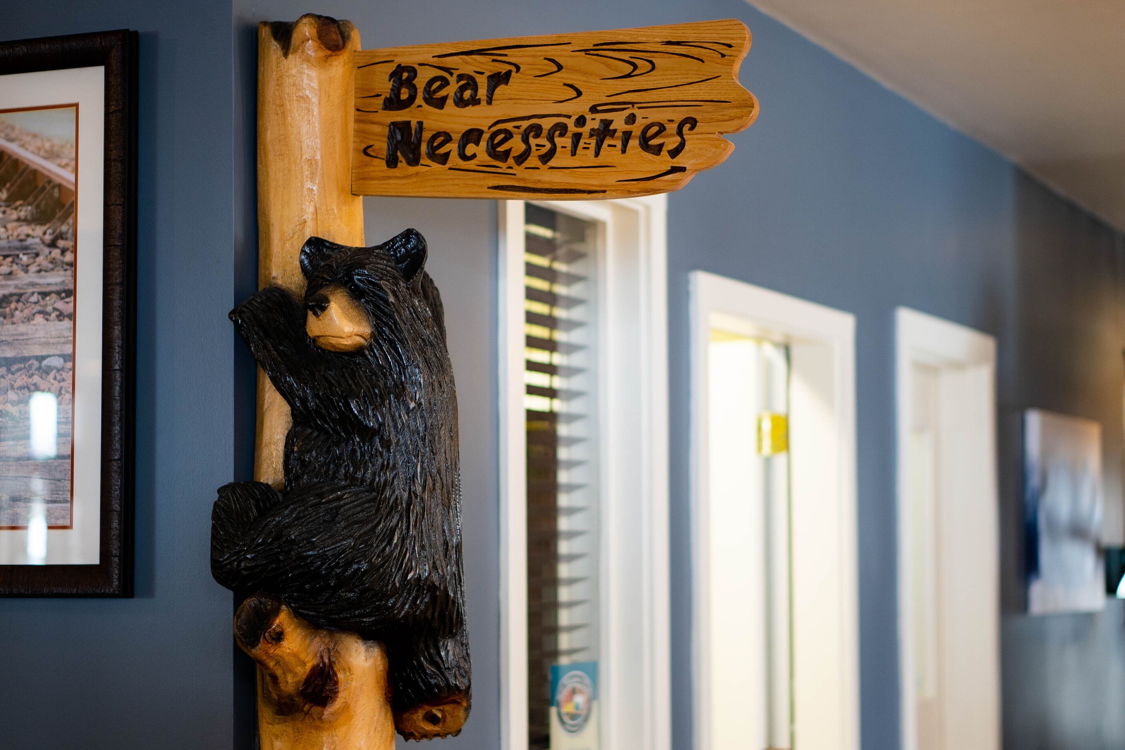 A wooden sign with a bear holding a sign that reads "Bear Necessities."