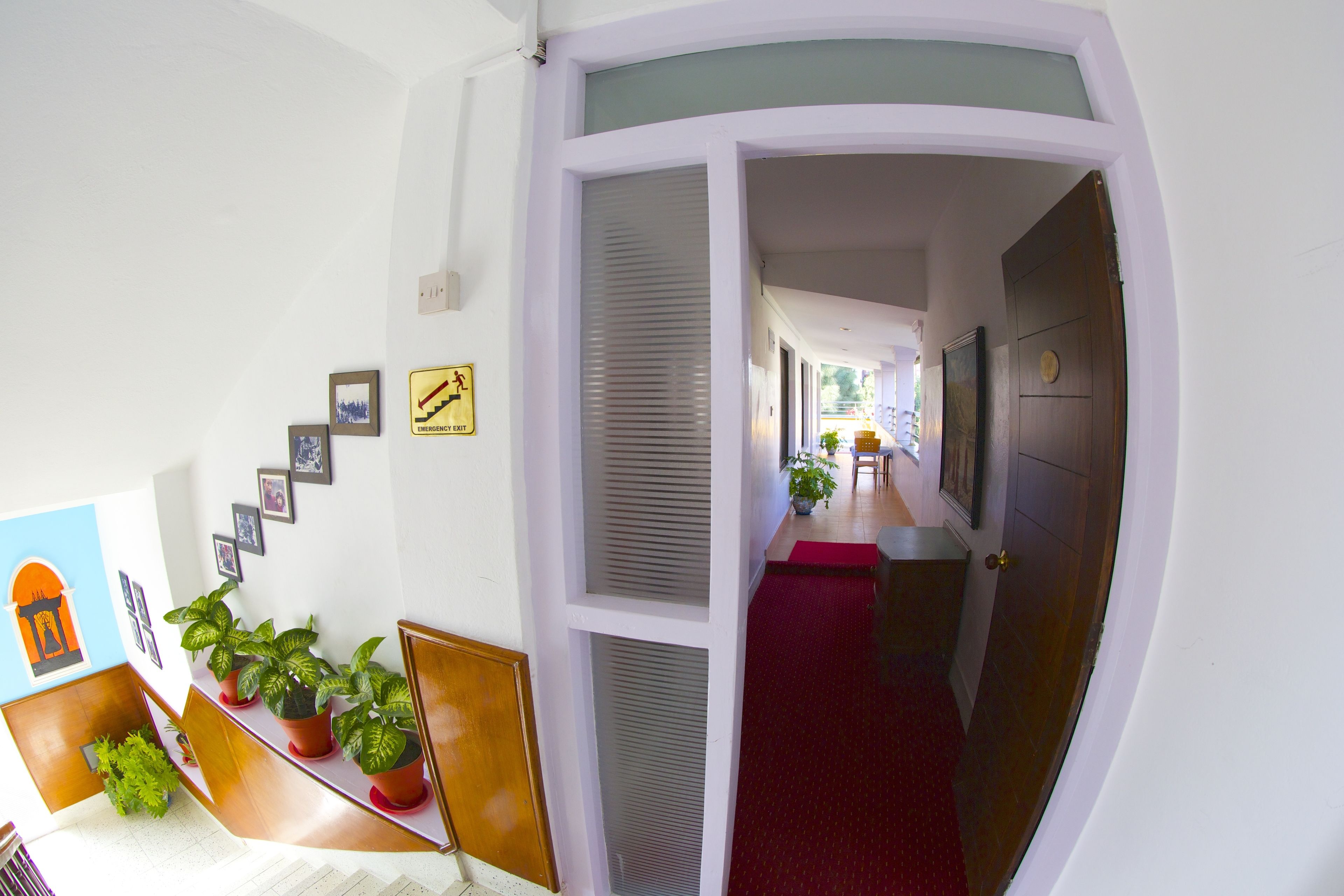 A hallway with a red carpet, a staircase with wooden railings, and potted plants.
