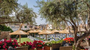 An outdoor seating area with wicker furniture, thatched umbrellas, and potted flowers. - Grupotel Maritimo (Alcúdia)