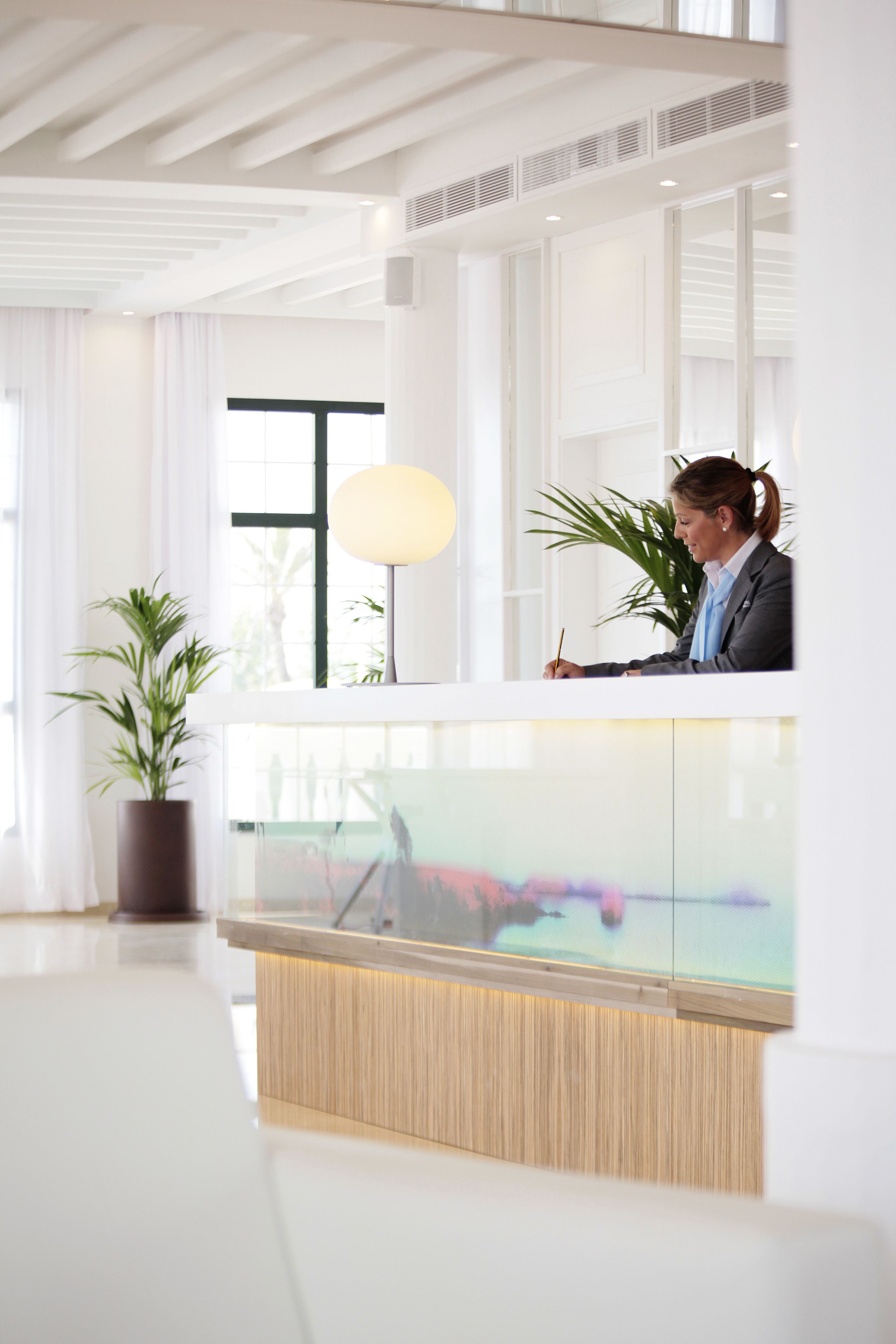 A reception desk with a woman seated behind it, a potted plant, and a large window with curtains.