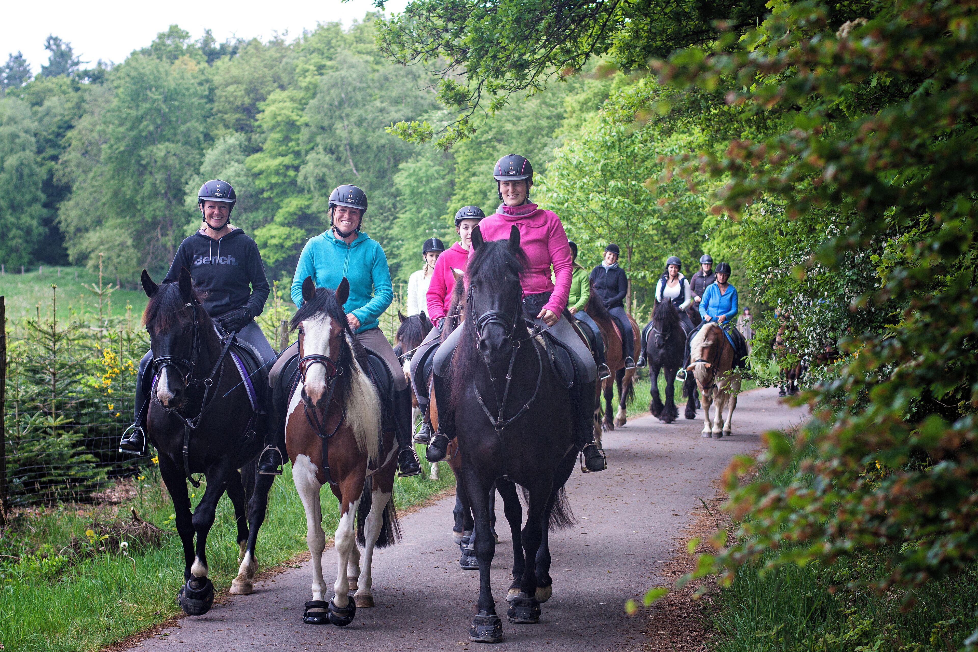 Een groep mensen rijdt op paarden over een geplaveid pad, omringd door groen.