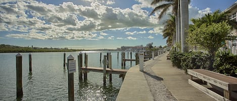 A waterfront walkway with wooden benches, a fishing license sign, and palm trees.
