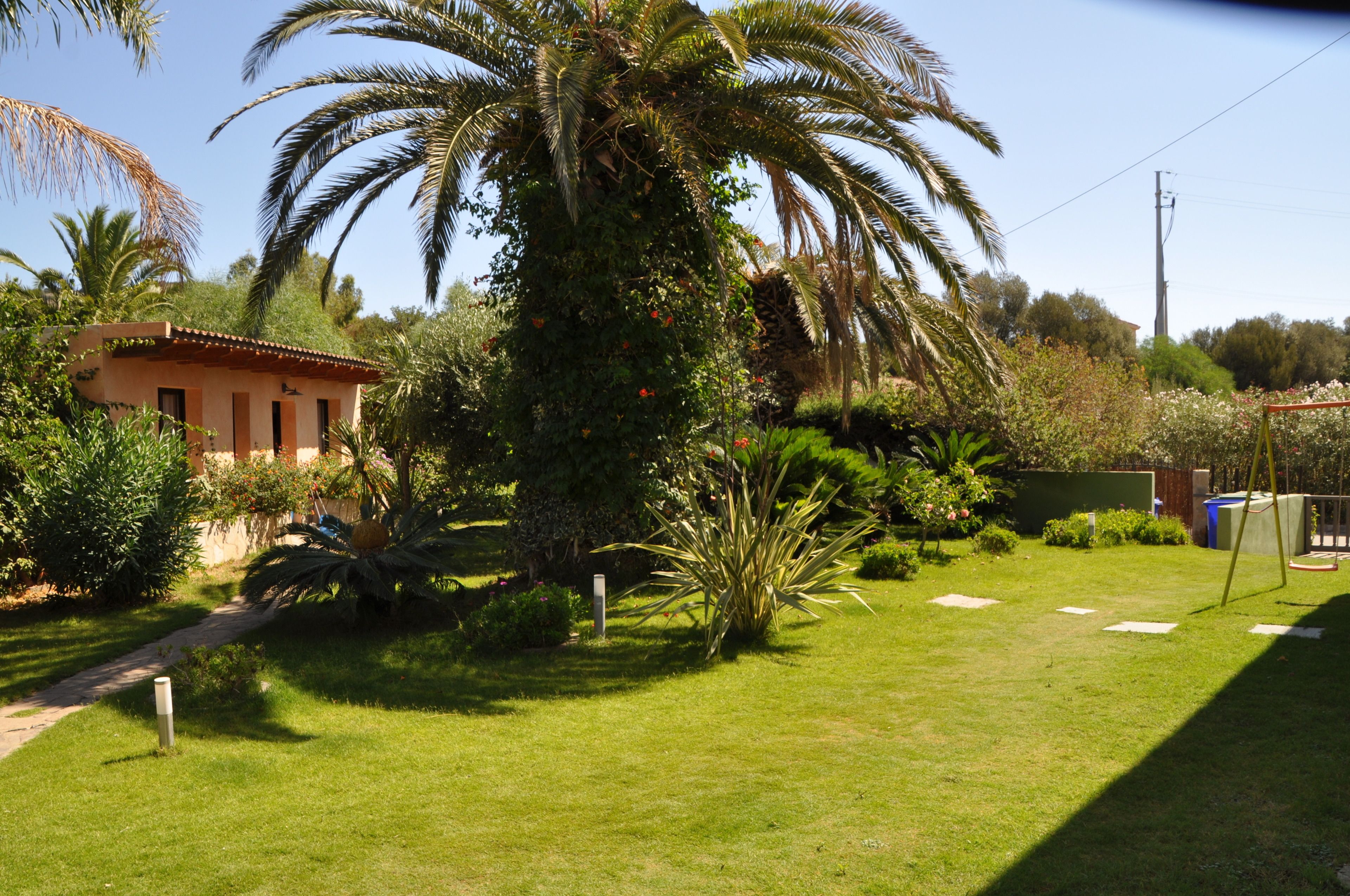 Un jardín bien cuidado con una palmera, un edificio pequeño y cielo despejado.