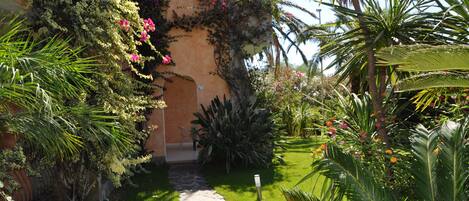 Un jardín con un sendero de piedra que lleva a la entrada de un edificio, rodeado de plantas y flores diversas.