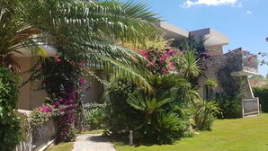 A well-maintained garden with various plants and a pathway leading to a building. - Palm Village (Villasimius)