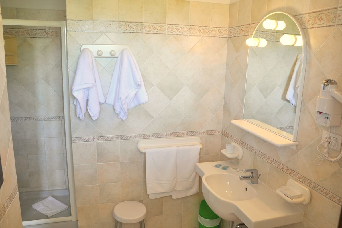 shower, free toiletries, hair dryer, bidet