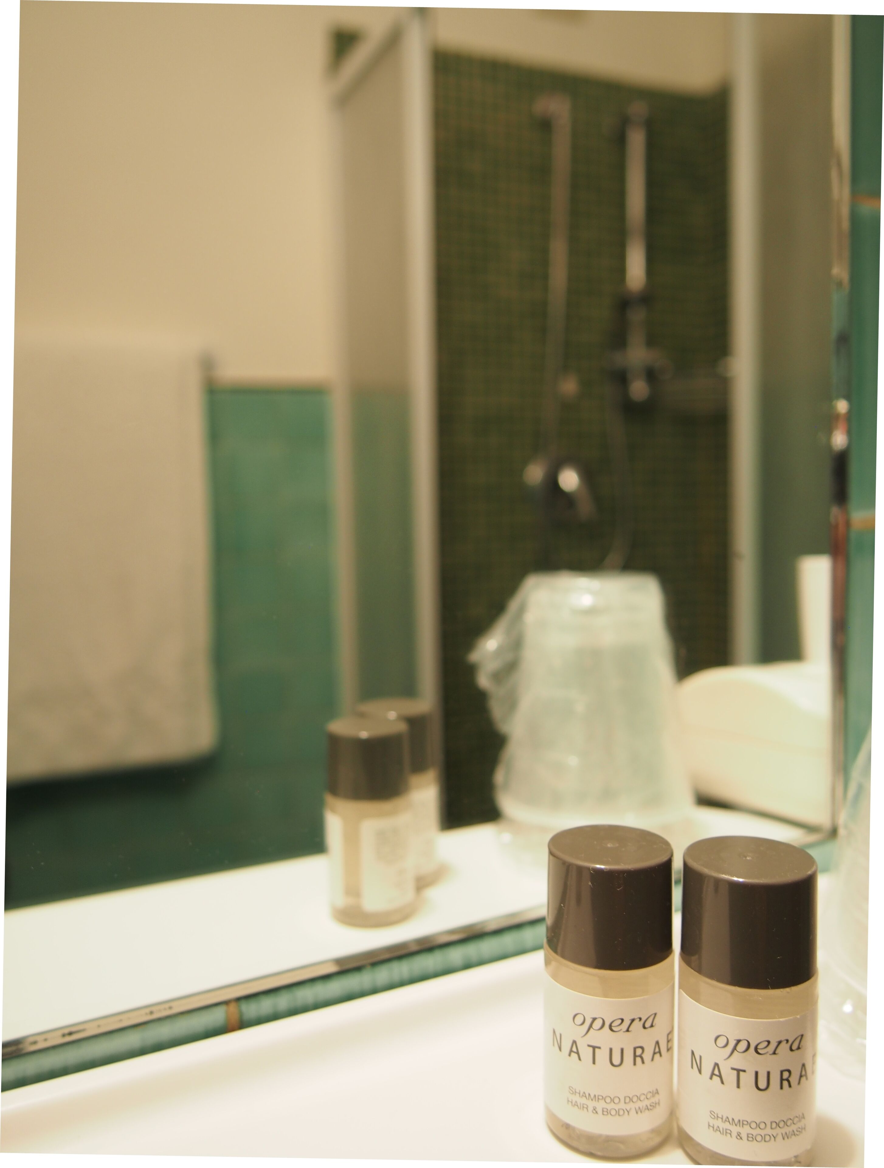 shower, rainfall showerhead, free toiletries, hair dryer