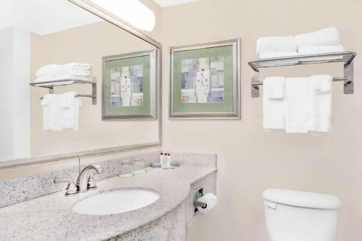 A bathroom with a sink, mirror, toilet, and towel racks.