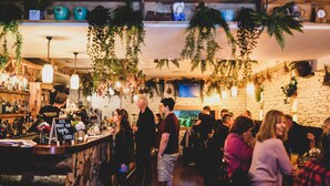 Zona de bar con estantes de madera llenos de botellas, plantas colgantes y un cartel que ofrece una tarjeta de bebidas.