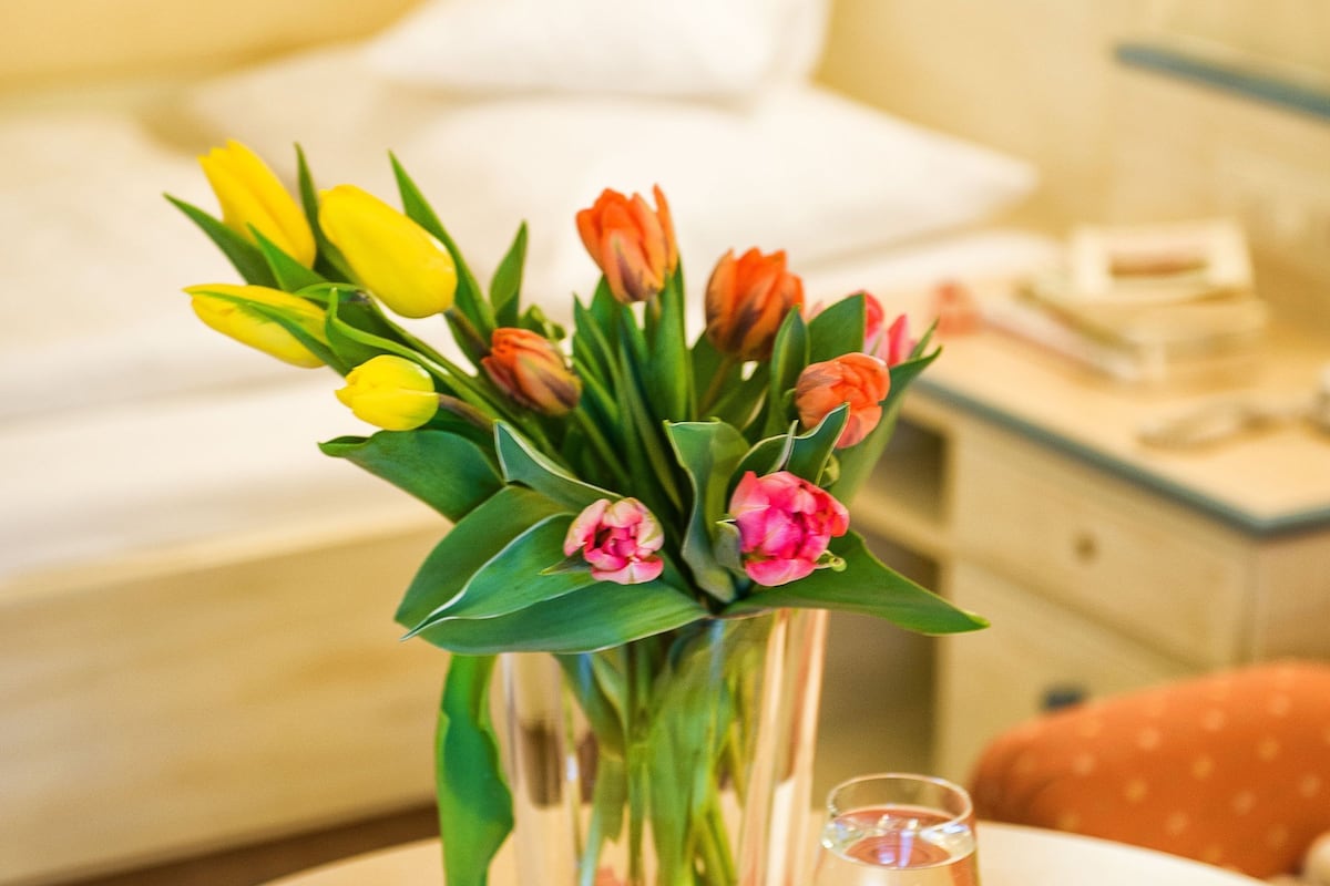 comfort single room | living area | flat-screen tv