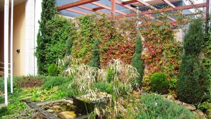 A garden with a variety of plants and a small pond. - Hotel Ciudad De Lugo (Lugo)
