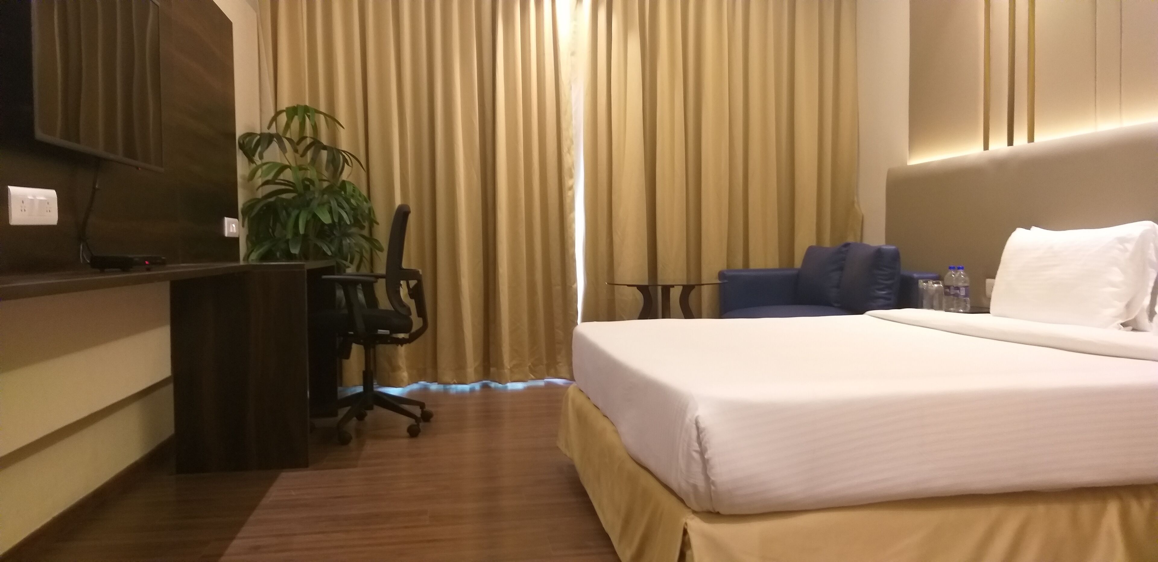 A hotel room with a bed, a desk, a chair, a plant, and a TV.