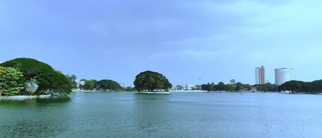 Um lago calmo com árvores e edifícios ao fundo.