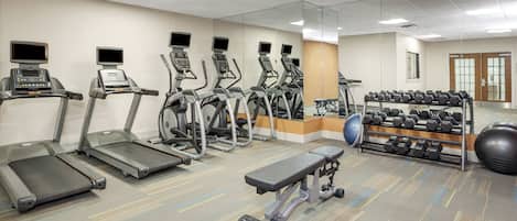 Un gimnasio con cintas de correr, elípticas, una banca y un estante con mancuernas.
