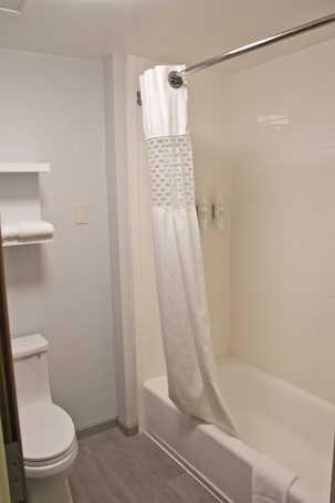 A bathroom with a toilet, a bathtub, and a shower curtain.