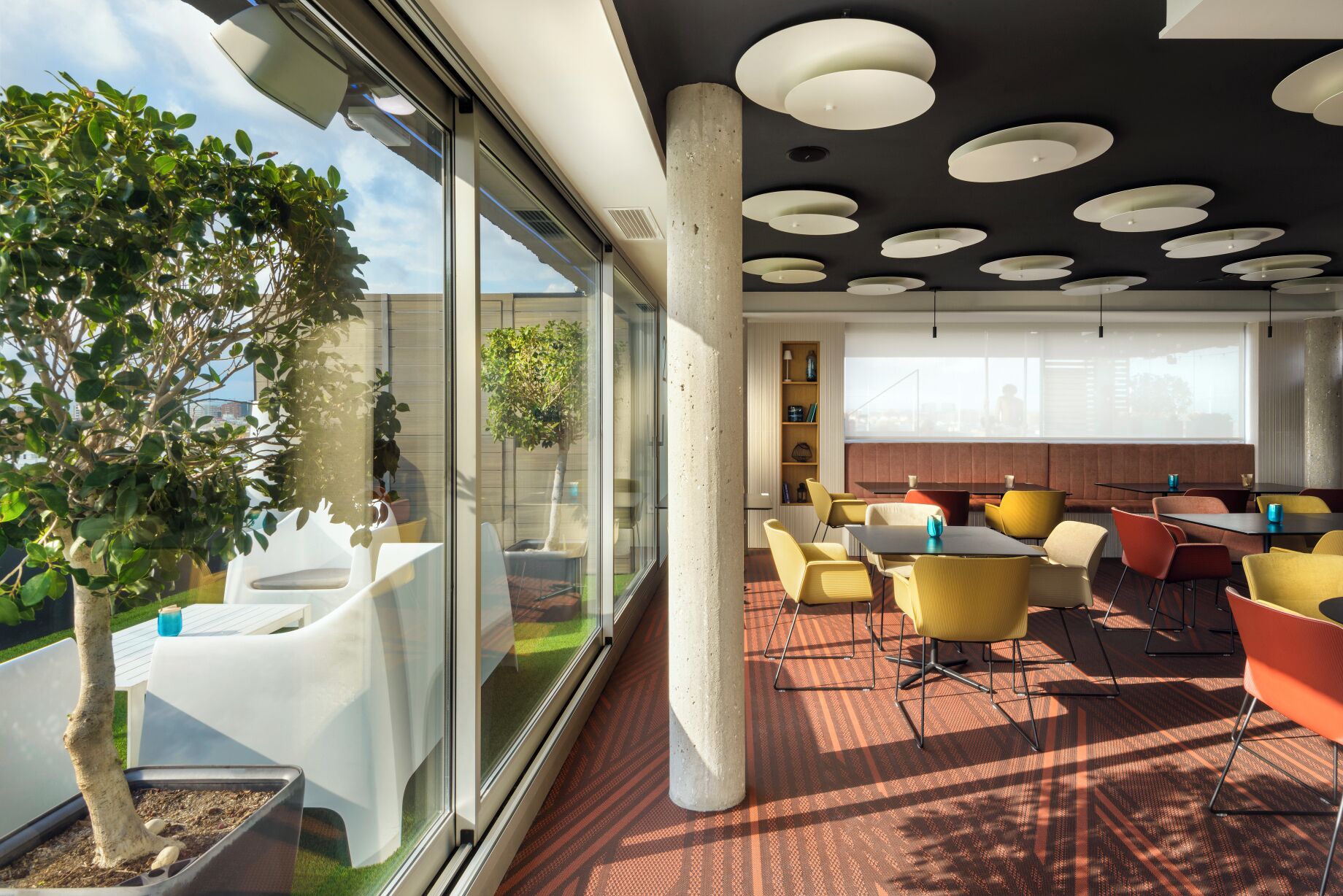 A modern interior with a glass wall, indoor plants, and a patterned carpet.