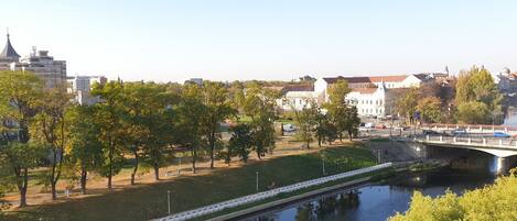 A riverside park with trees and a bridge over a river.