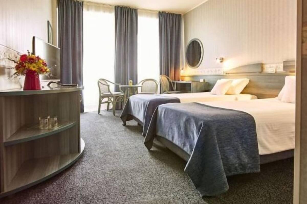 A hotel room with a bed, a desk with a chair, a TV, and a vase of flowers.