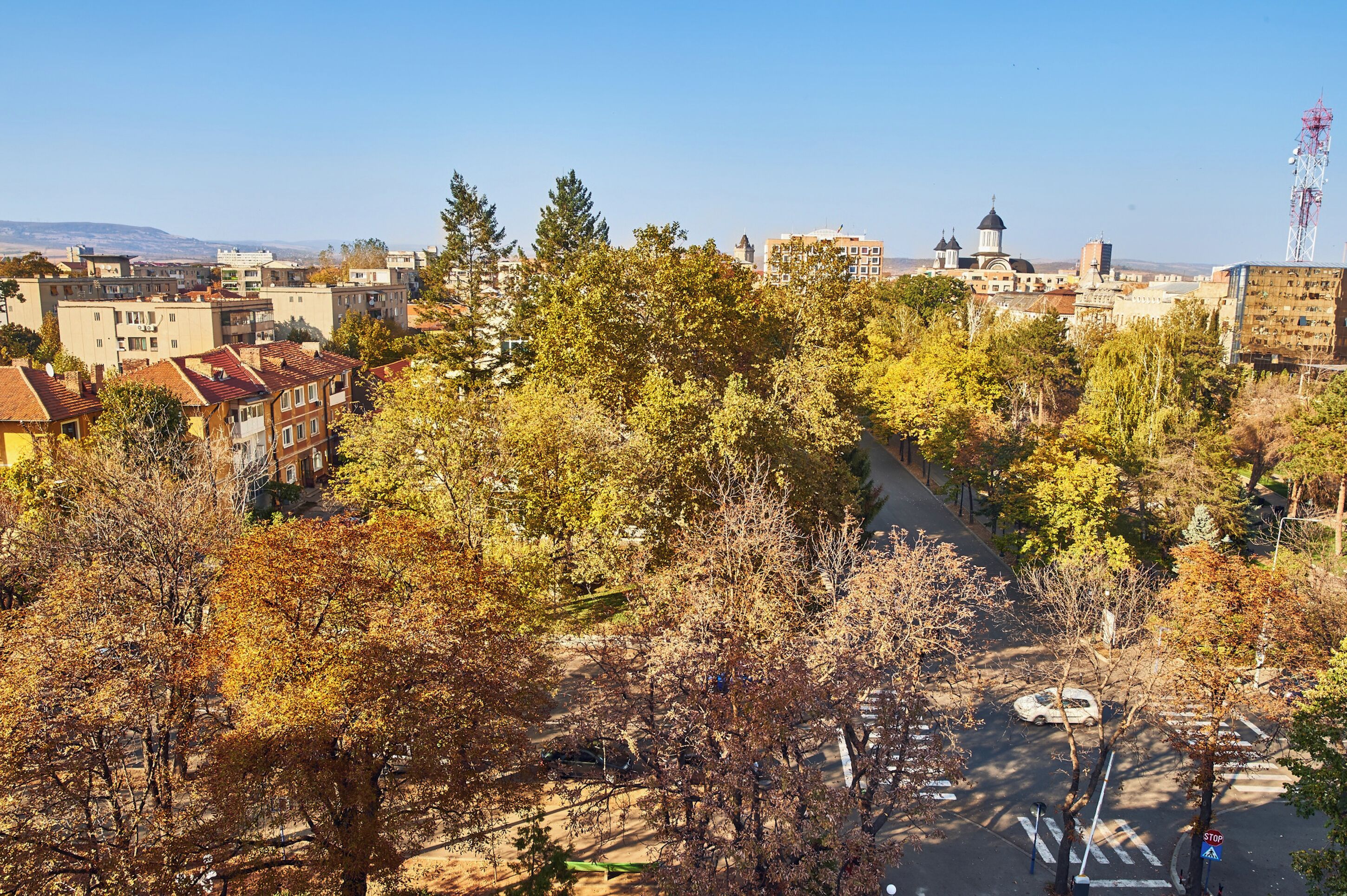 A residential area with trees, a road, and buildings including a church with domes.