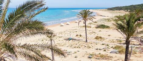 Beach umbrellas, beach towels, water skiing, windsurfing