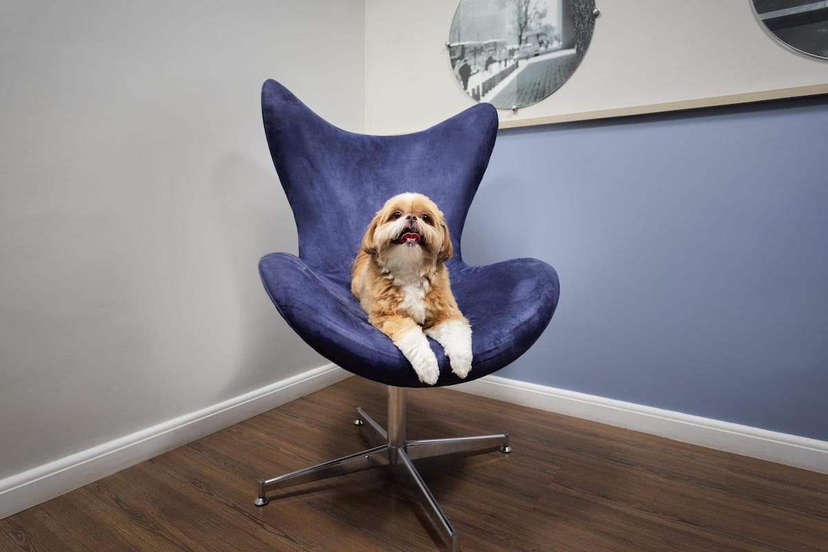 Allergikerbettwaren, Minibar, Zimmersafe, Schreibtisch