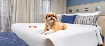 Mercure Sao Paulo Pamplona Hotel