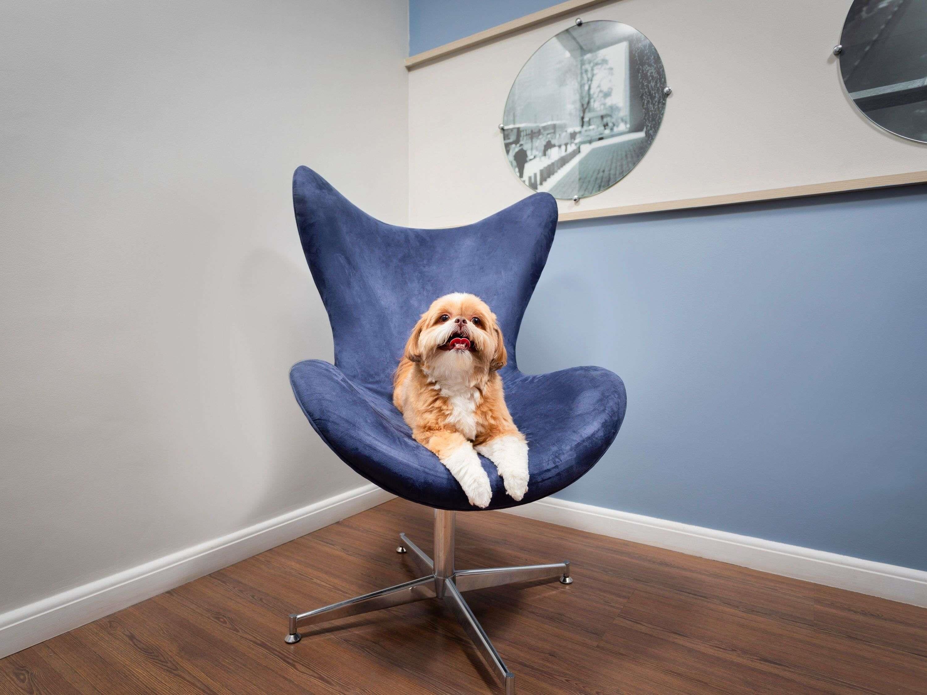 Hypo-allergenic bedding, minibar, in-room safe, desk